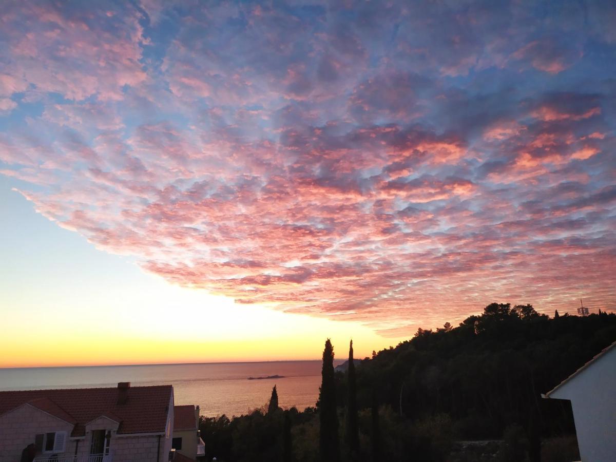 Honey Bee Cavtat Daire Dış mekan fotoğraf